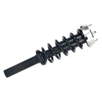 PRT® - Front Shock and Strut Assembly