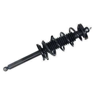 PRT® - Rear Shock and Strut Assembly