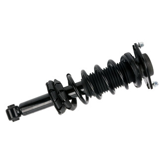 PRT® - Rear Shock and Strut Assembly