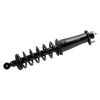 PRT® - Rear Driver or Passenger Side Strut Assembly