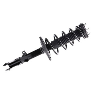 PRT® - Rear Passenger Side Strut Assembly