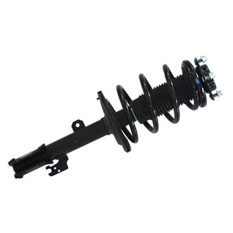 PRT® - Front Passenger Side Strut Assembly