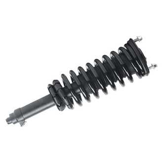 PRT® - Shock and Strut Assembly