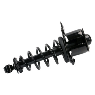 PRT® - Rear Passenger Side Strut Assembly
