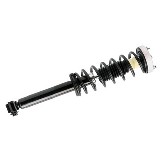 PRT® - Rear Driver Side Strut Assembly