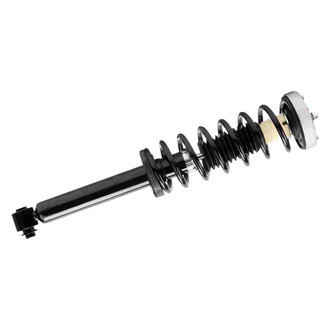 PRT® - Rear Passenger Side Strut Assembly