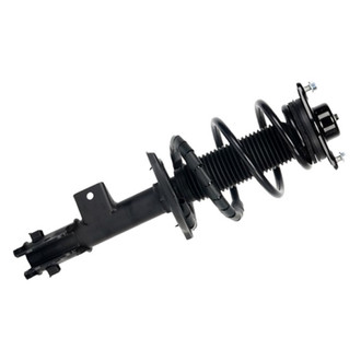 PRT® - Front Driver Side Strut Assembly