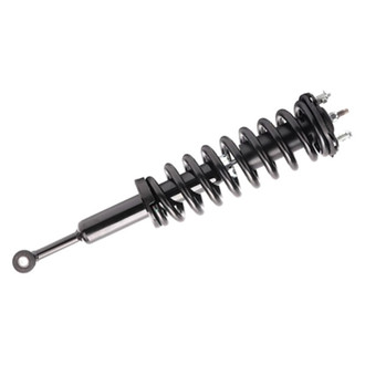 PRT® - Front Passenger Side Strut Assembly