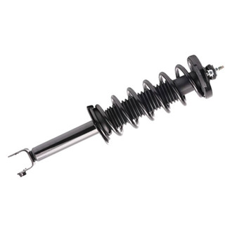 PRT® - Rear Passenger Side Strut Assembly