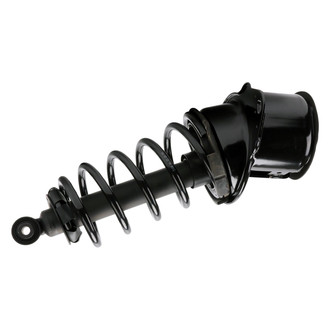 PRT® - Shock and Strut Assembly