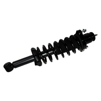 PRT® - Rear Driver or Passenger Side Strut Assembly