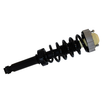 PRT® - Rear Driver or Passenger Side Strut Assembly