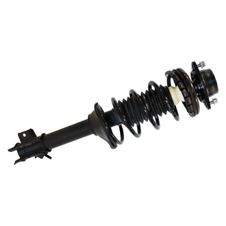 PRT® - Rear Passenger Side Strut Assembly