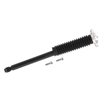 PRT® - Rear Driver or Passenger Side Shock Absorber Assembly