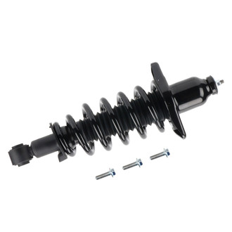 PRT® - Rear Passenger Side Strut Assembly