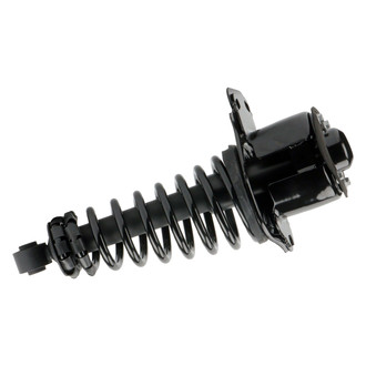 PRT® - Rear Passenger Side Strut Assembly