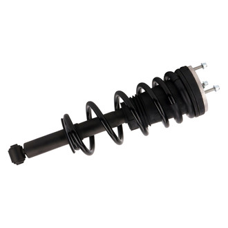PRT® - Rear Shock and Strut Assembly