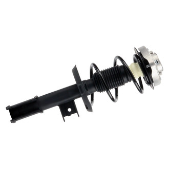 PRT® - Front Passenger Side Strut Assembly
