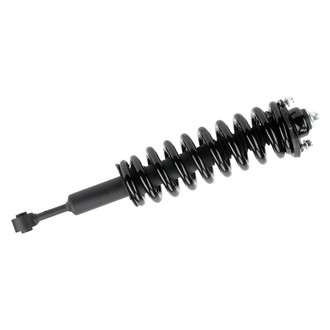 PRT® - Front Passenger Side Strut Assembly