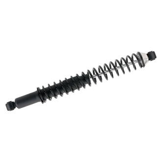 PRT® - Rear Shock and Strut Assembly