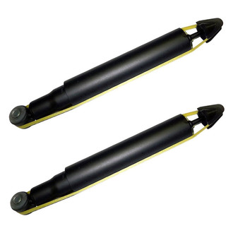 PRT® - Rear Shock Absorber Set