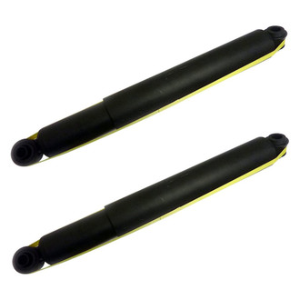 PRT® - Rear Shock Absorber Set