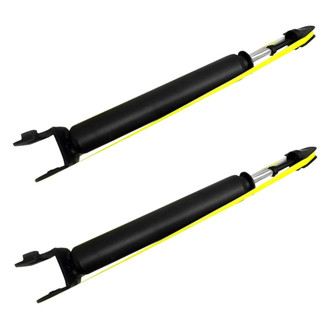 PRT® - Rear Shock Absorber Set
