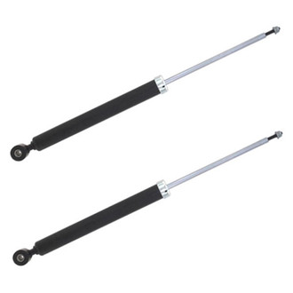 PRT® - Rear Strut Set
