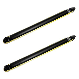 PRT® - Rear Shock Absorber Set