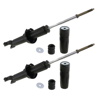 PRT® - Rear Strut Set
