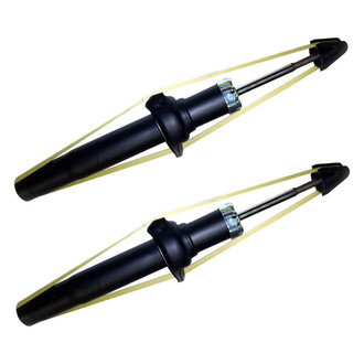 PRT® - Front Strut Set