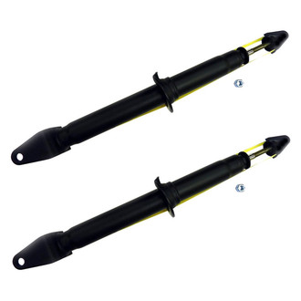 PRT® - Rear Strut Set