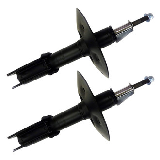 PRT® - Front Strut Set