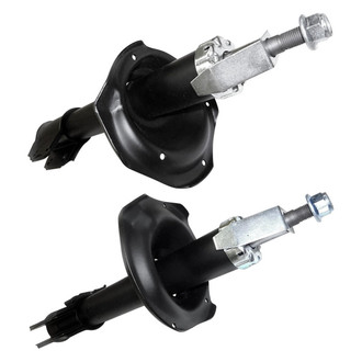 PRT® - Rear Strut Set