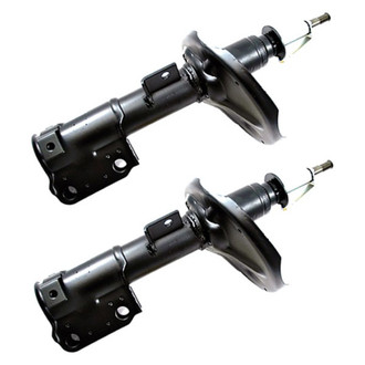 PRT® - Front Strut Set