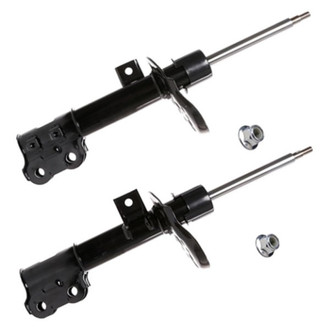 PRT® - Shock and Strut Assembly