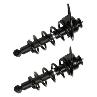 PRT® - Rear Shock and Strut Assembly