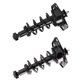 PRT® - Rear Shock and Strut Assembly