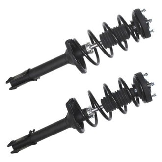 PRT® - Rear Shock and Strut Assembly