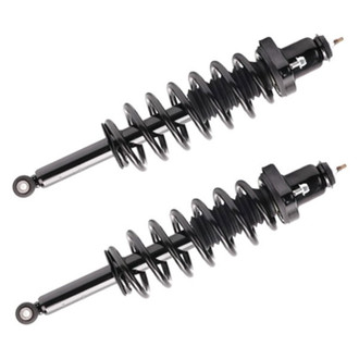 PRT® - Rear Strut Assembly Set