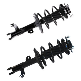 PRT® - Shock and Strut Assembly