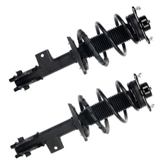 PRT® - Shock and Strut Assembly