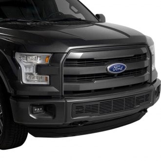 2016 Ford F-150 Custom Grilles 