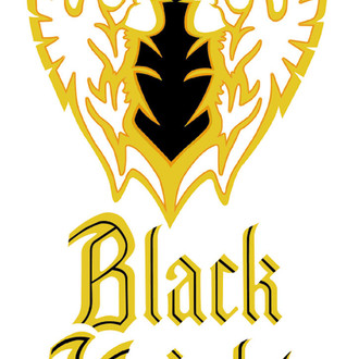 QRP® - Black/Gold Body Stripe Kit