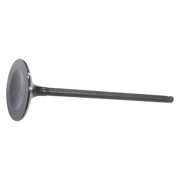 QualCast® - Intake Valve 