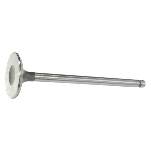 QualCast® - Intake Valve 