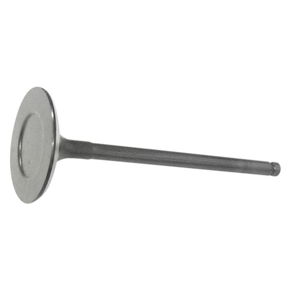 QualCast® - Intake Valve 