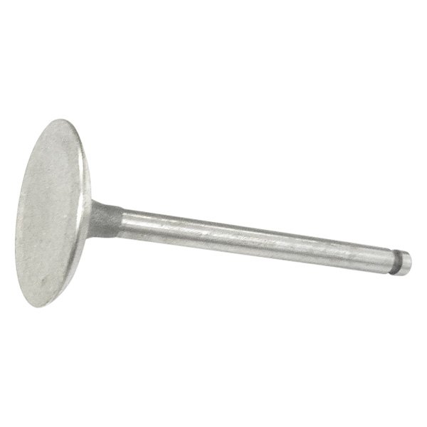 QualCast® - Intake Valve 