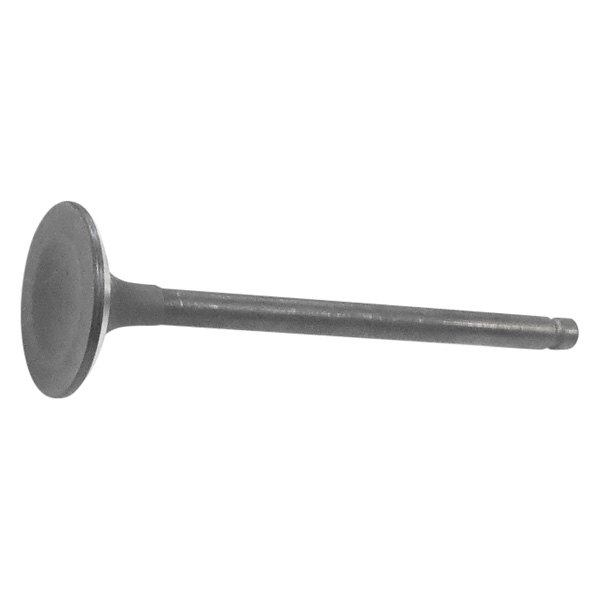 QualCast® 1010742 Intake Valve
