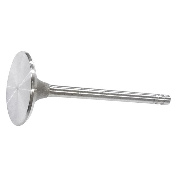 QualCast® - Intake Valve 